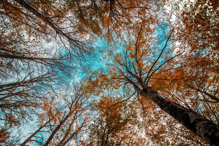 Landscape Photography